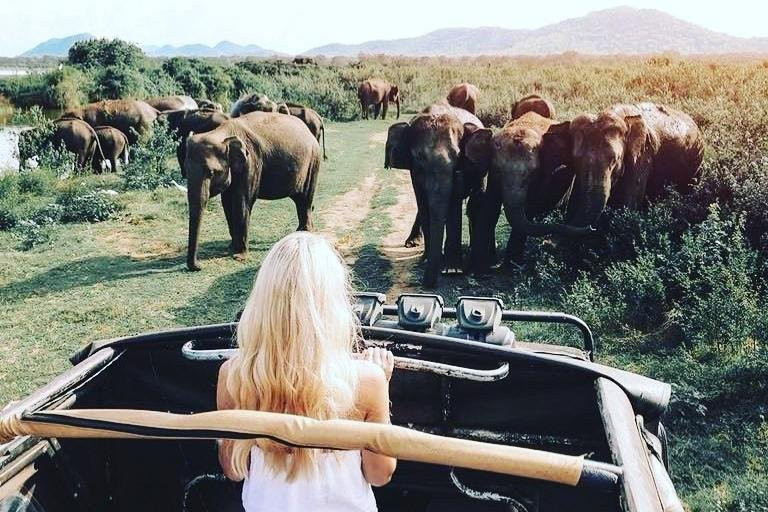 Trail Sri Lanka-卡图纳耶克必去景点