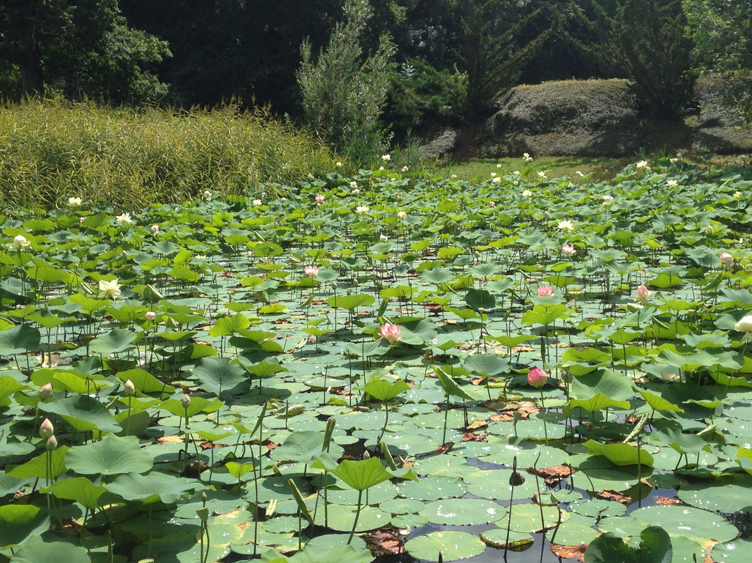 Arboretum Al Gaulhia-Espartignac必去景点