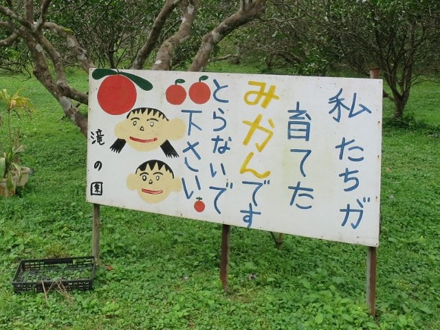 Arangachi Waterfall-宇检村必去景点