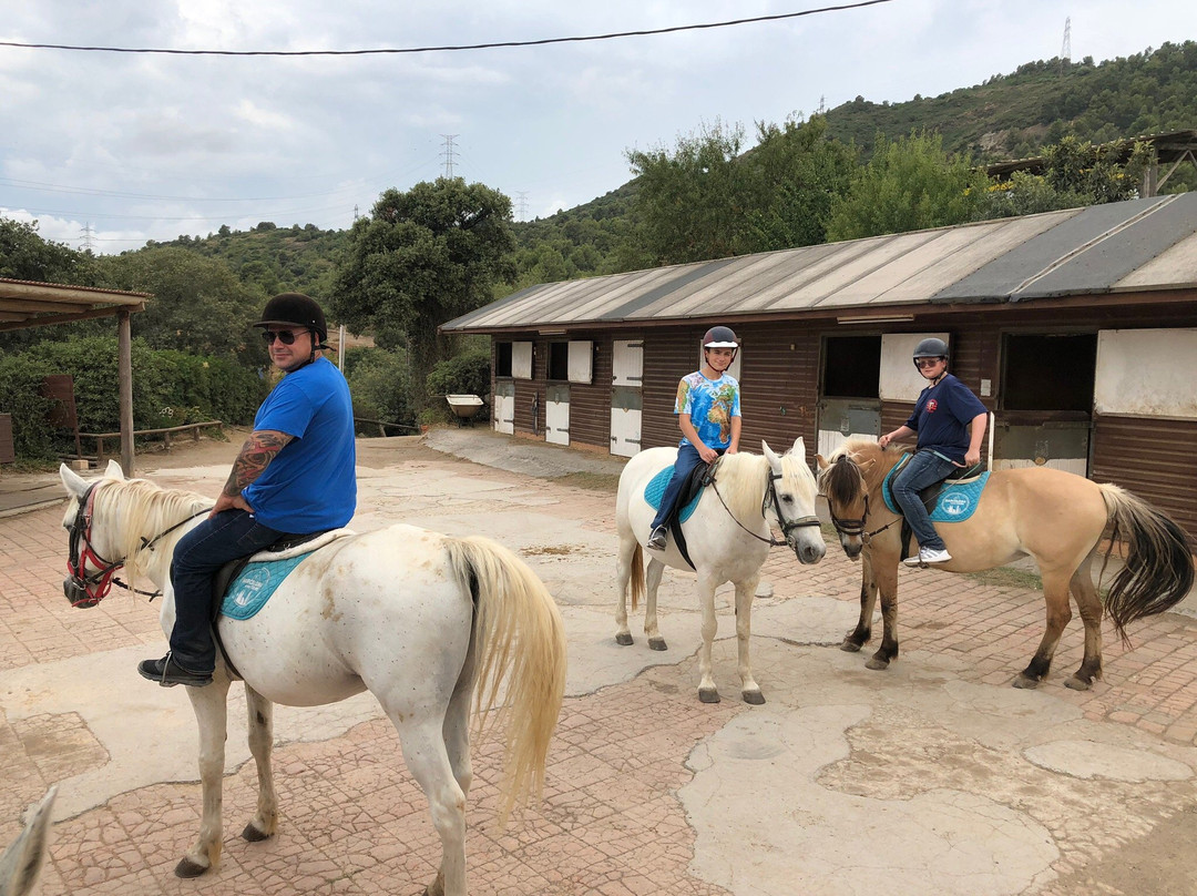 Barcelona Horse Tours景点图片