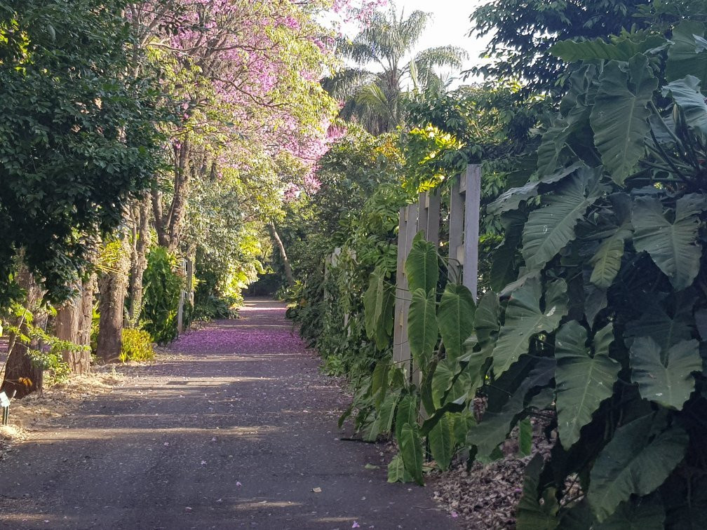 Jardim Botanico De Americana-Americana必去景点