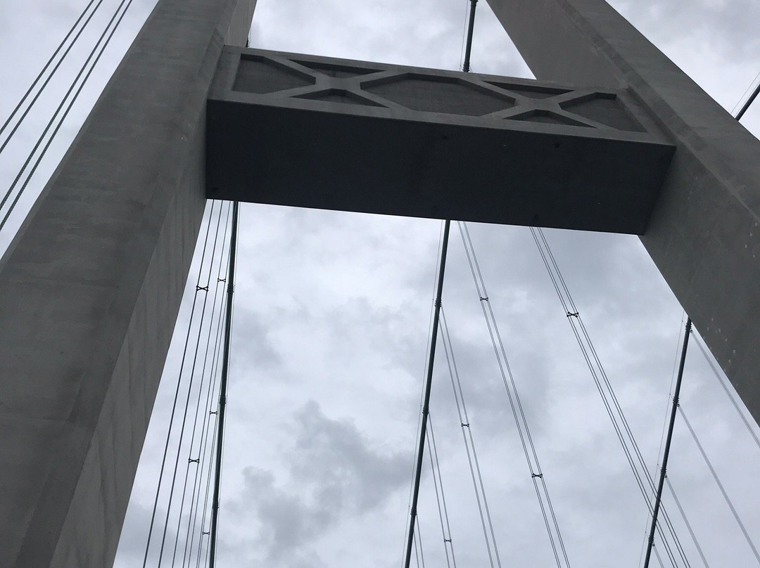 Tacoma Narrows Bridge景点图片