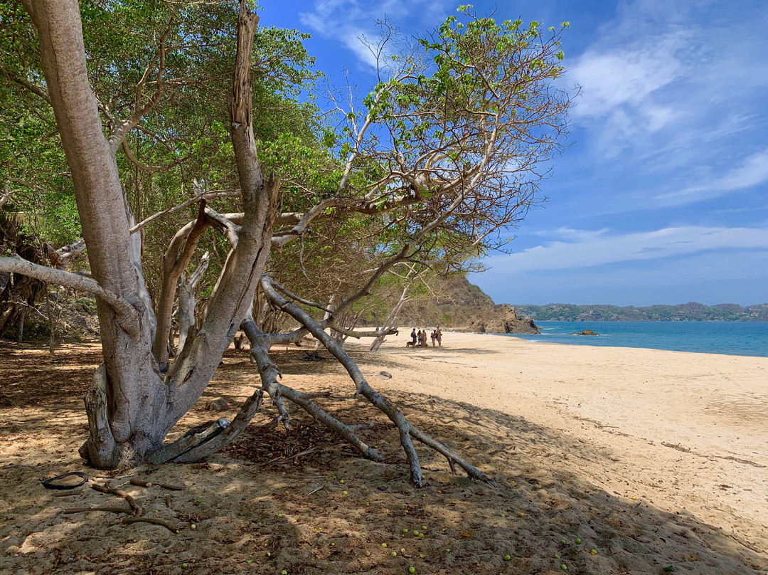 Playa Las Cuevas-利他必去景点