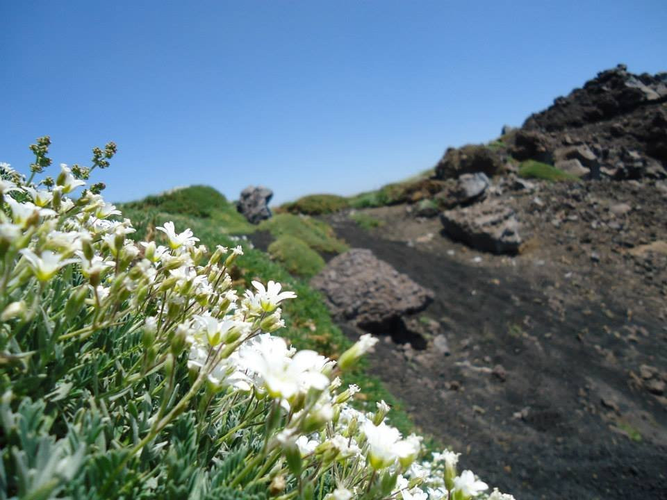 Valle Del Bove景点图片