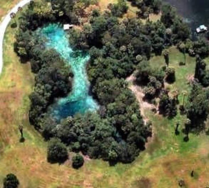 King's Bay Park-克里斯特尔里弗必去景点