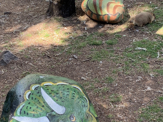 Sweety's Wildlife Preserve Art Zoo-Lake City必去景点