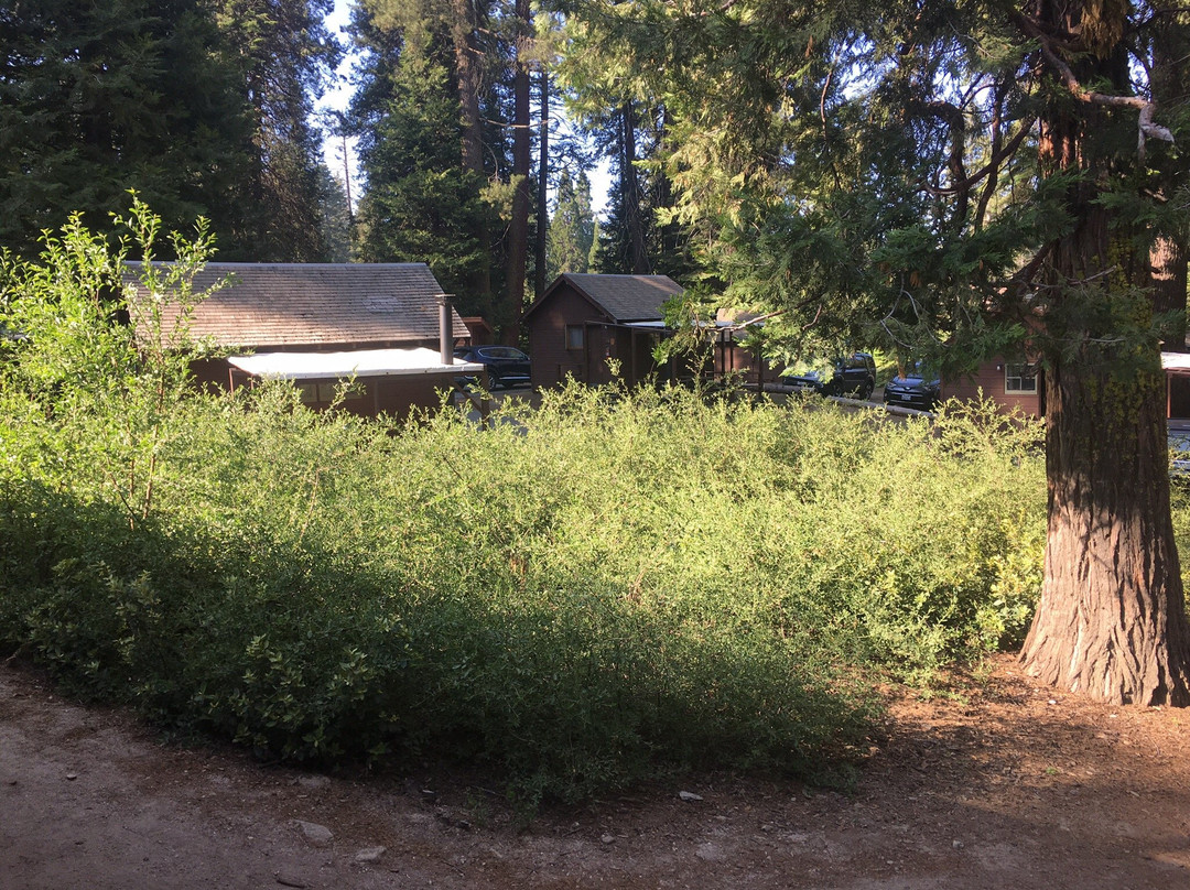 Kings Canyon Visitor Center-红杉&国王峡谷国家公园必去景点