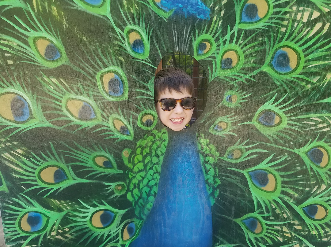 Folsom City Zoo Sanctuary-佛森必去景点