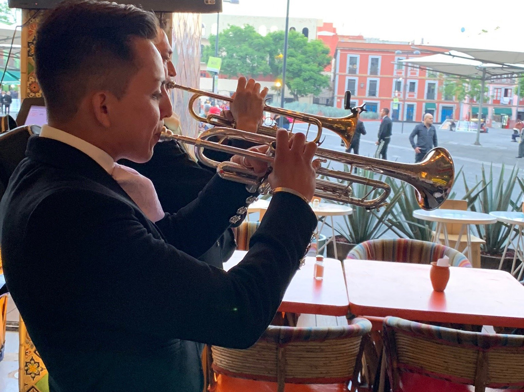 Insolitours-墨西哥城必去景点