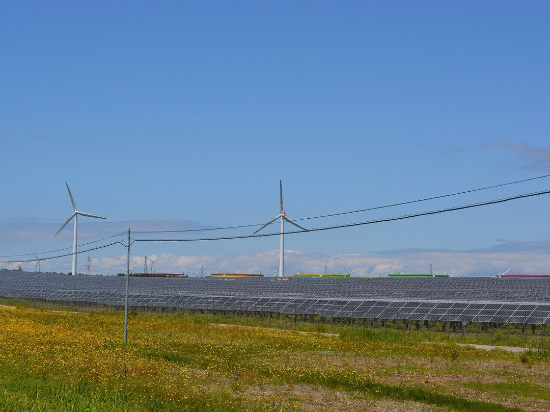 Large-scale Wind Power Generation景点图片