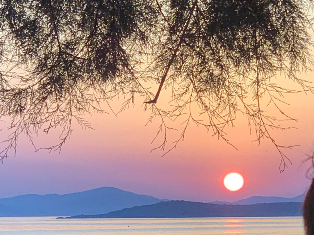 Summer Dream II主图