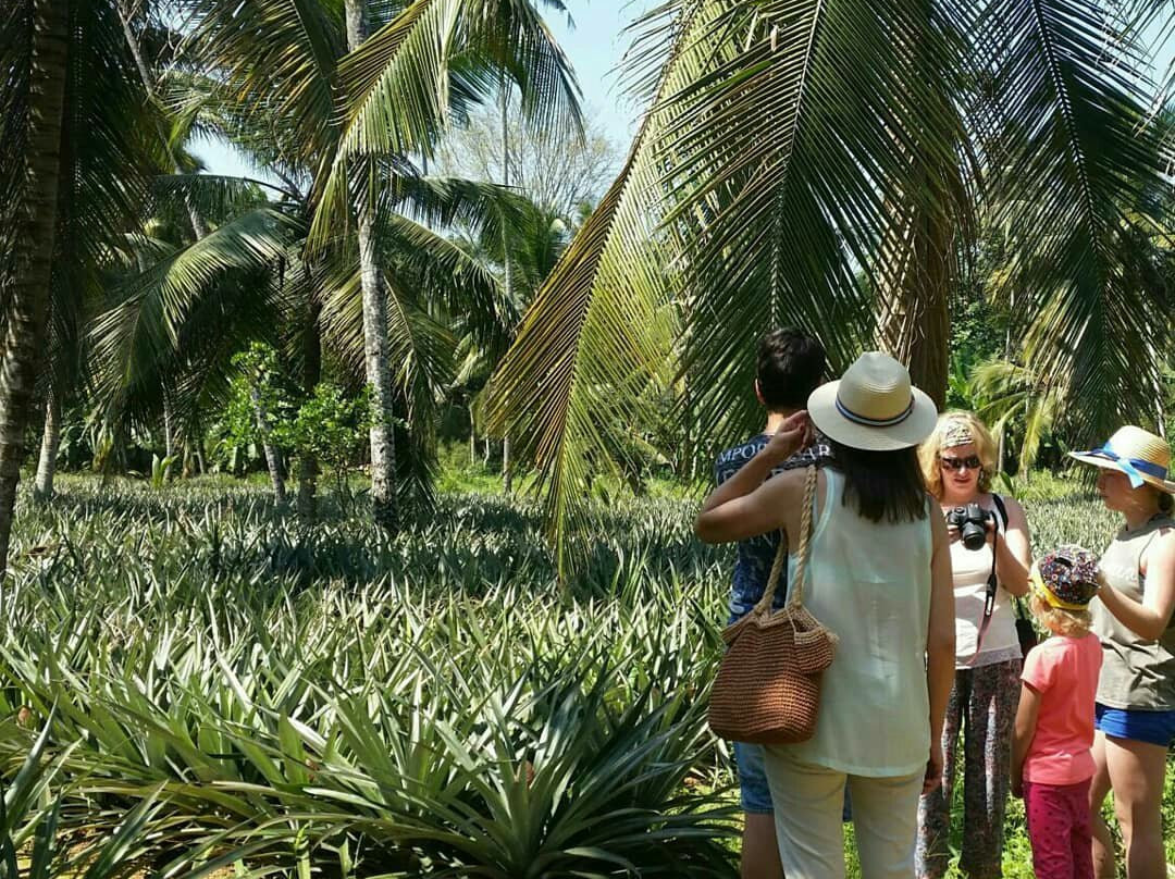 Tony Boat trips-Waikkal必去景点