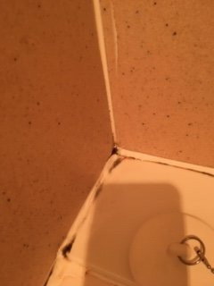 The Inn On Maritime Bay, Ascend Hotel Collection主图