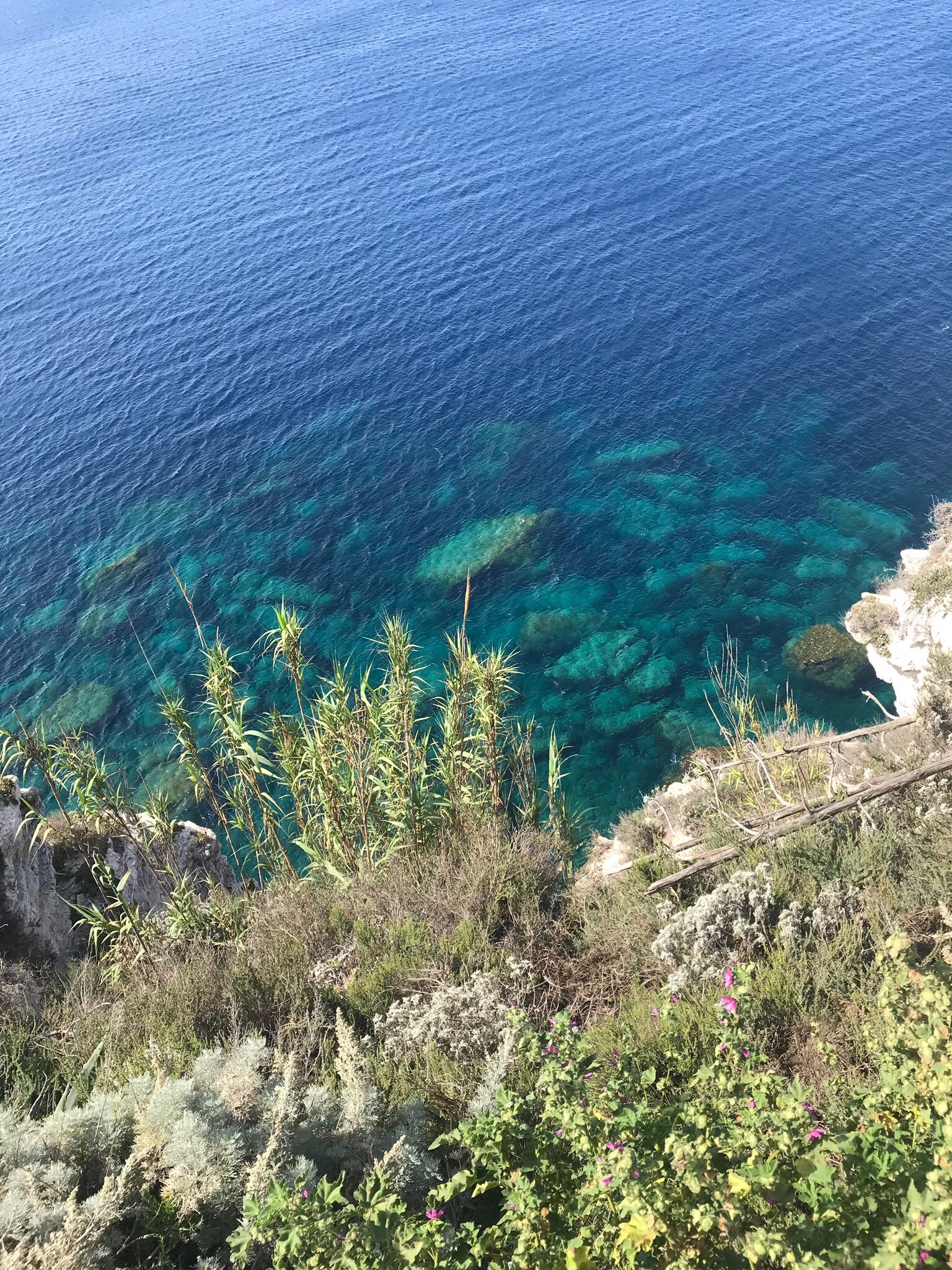 Residenza Il Faro-官方