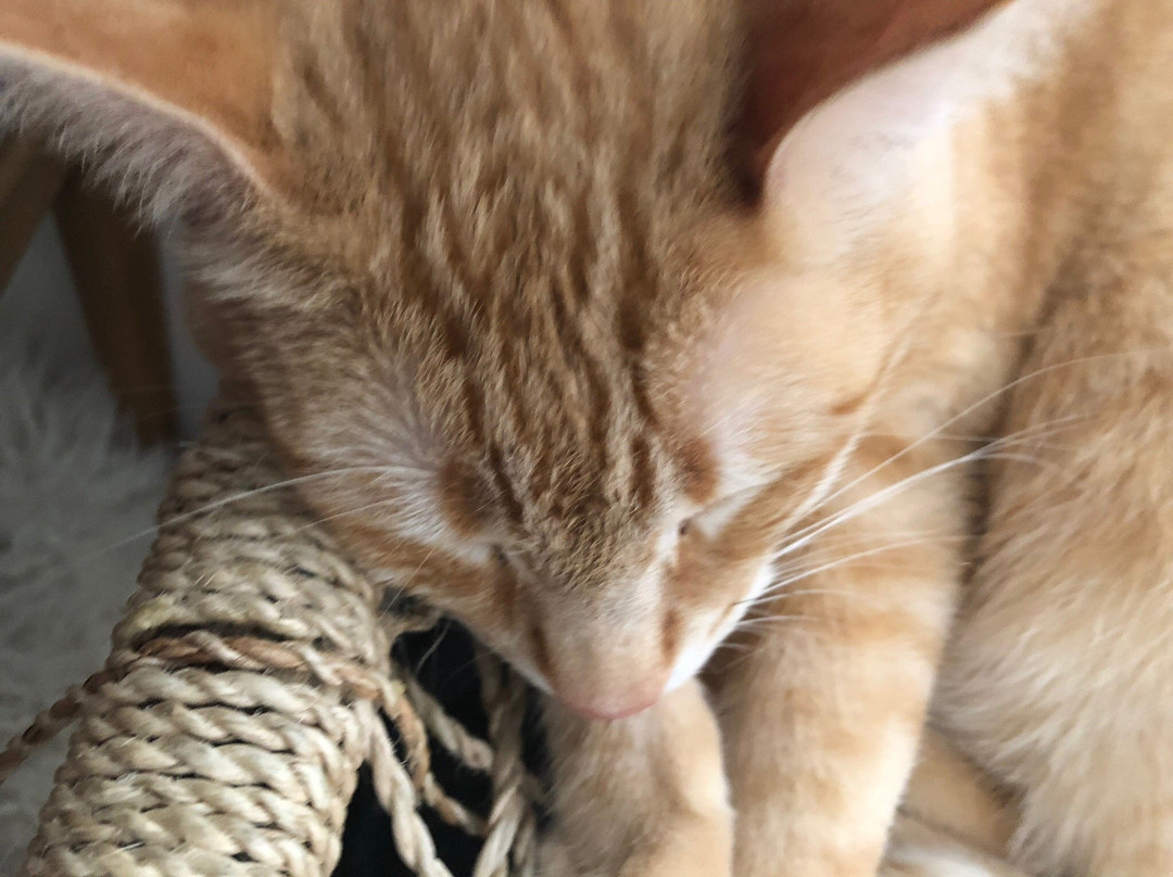 Impossible Acres-戴维斯必去景点