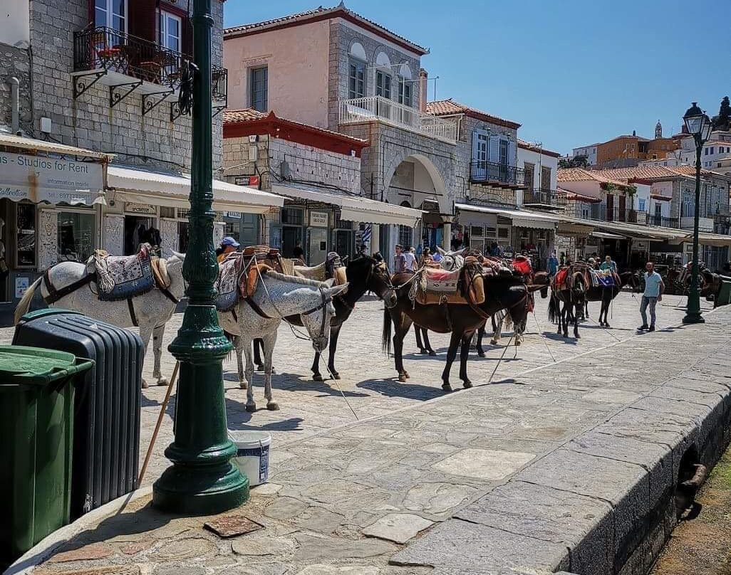Hydra Sightseeing景点图片