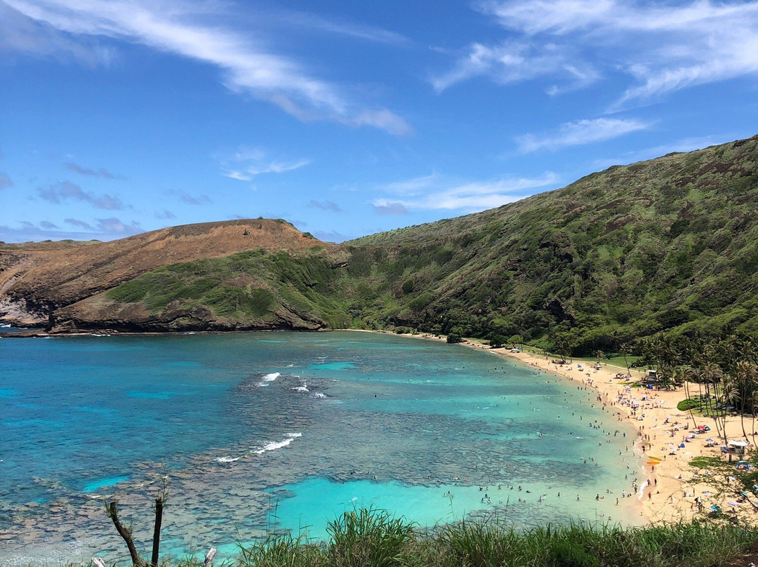 Snorkelfest Snorkel Hanauma Bay-火奴鲁鲁必去景点