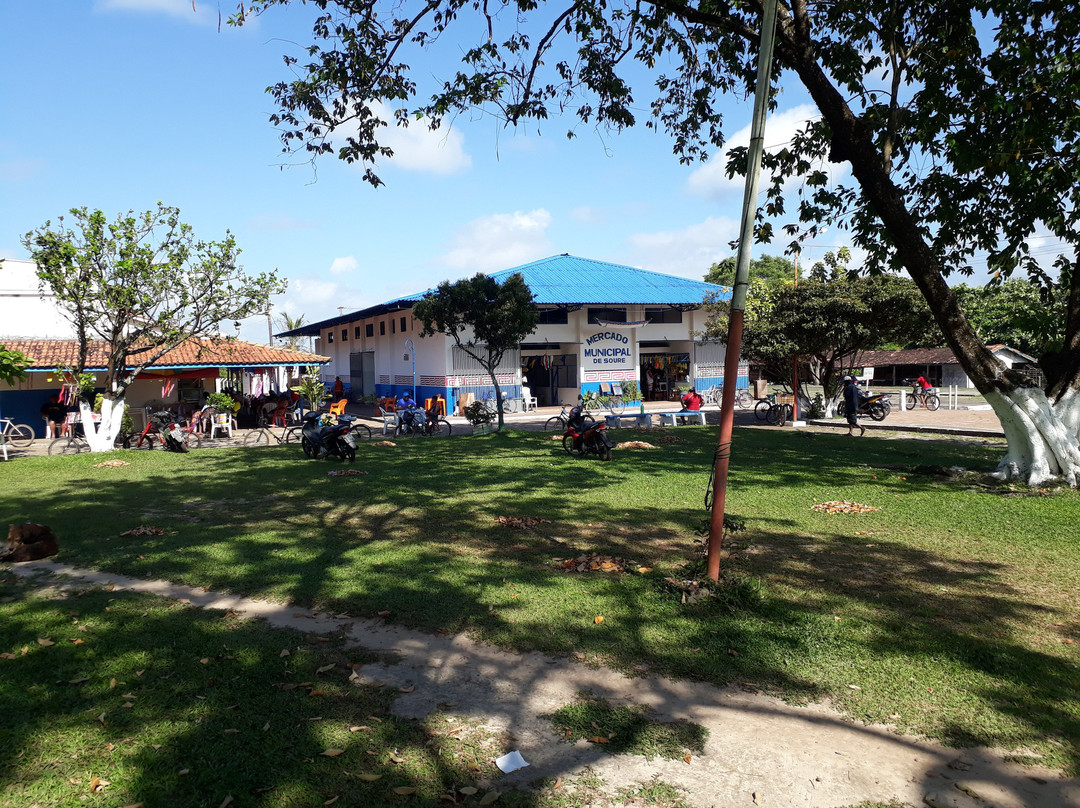 Mercado Municipal de Soure-Soure必去景点