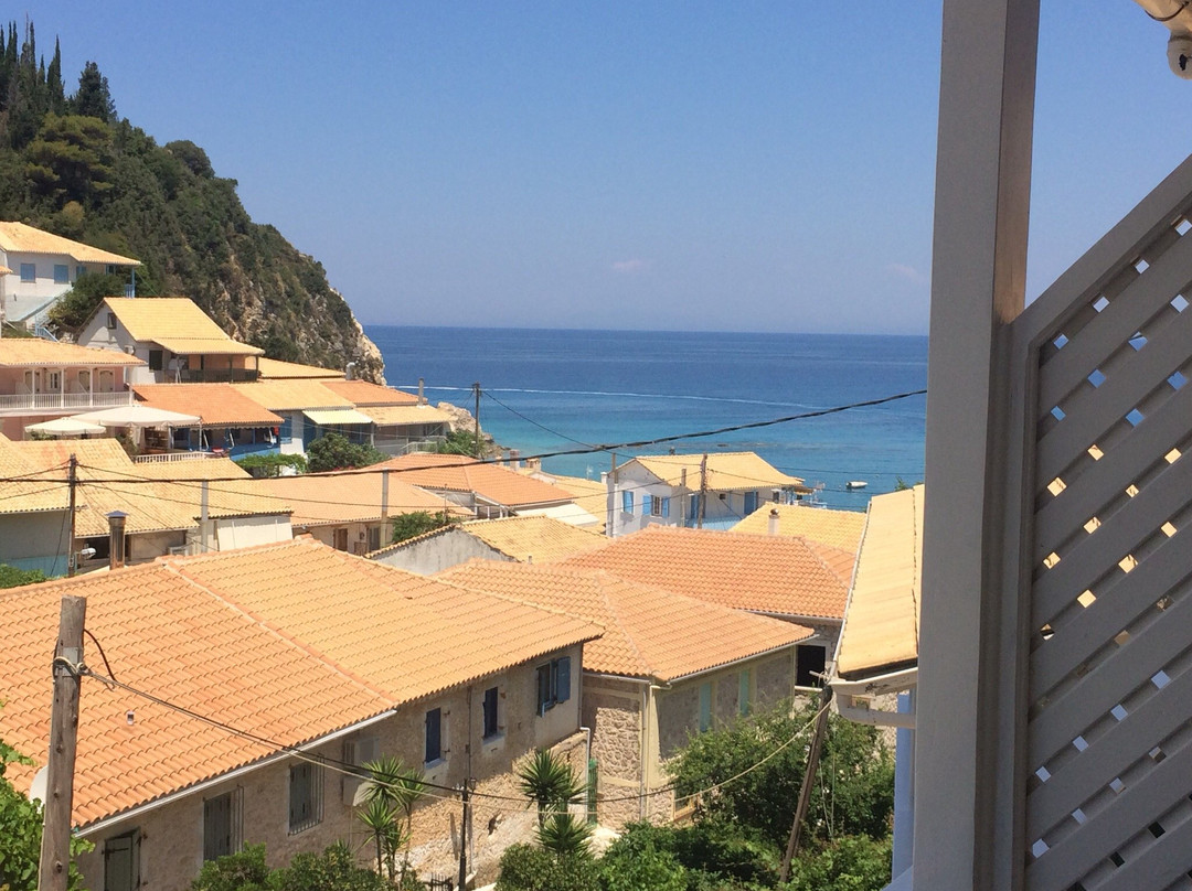 Olive Tree Hotel主图