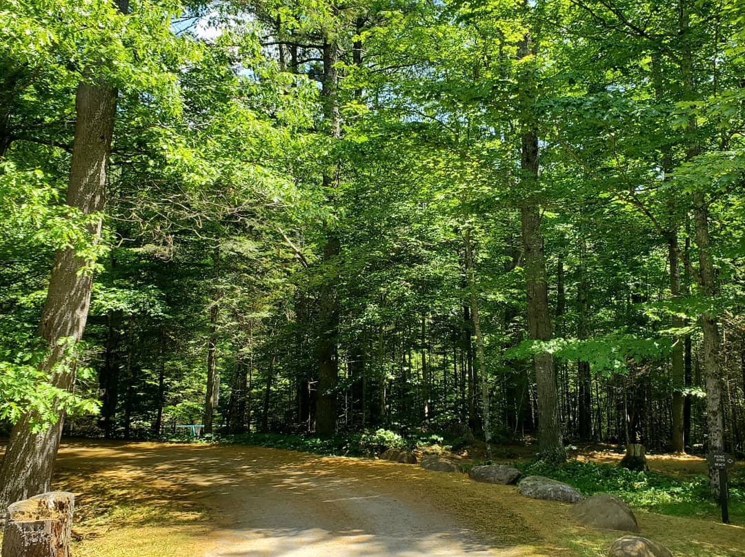 Swan Lake State Park