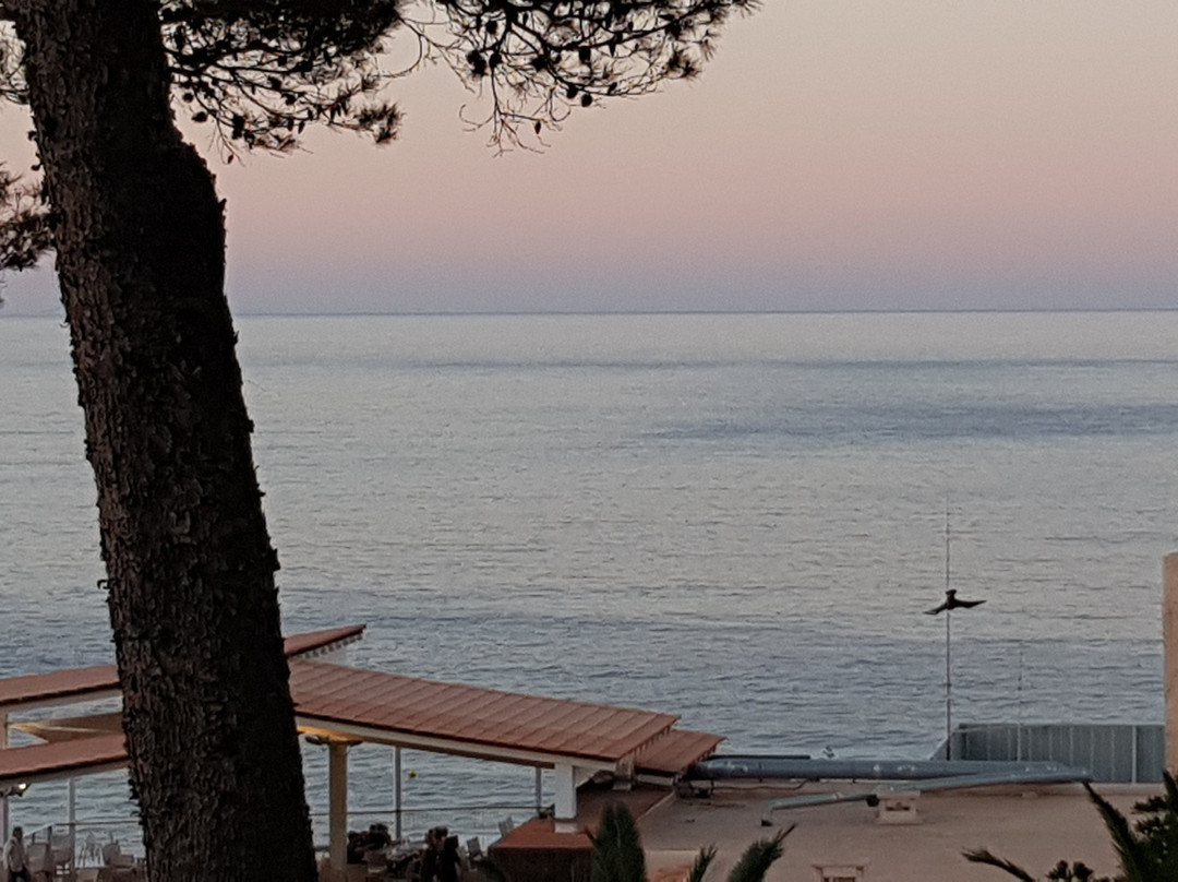 Invisa Hotel Club Cala Blanca主图