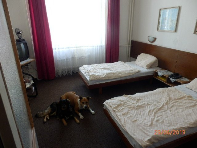 Hotel Piast主图