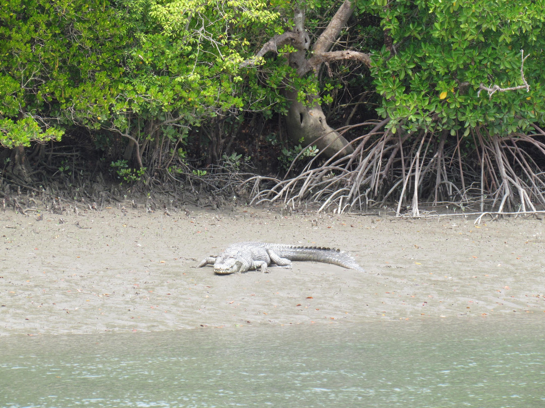Lets Meet Up Sundarban-Gosaba必去景点