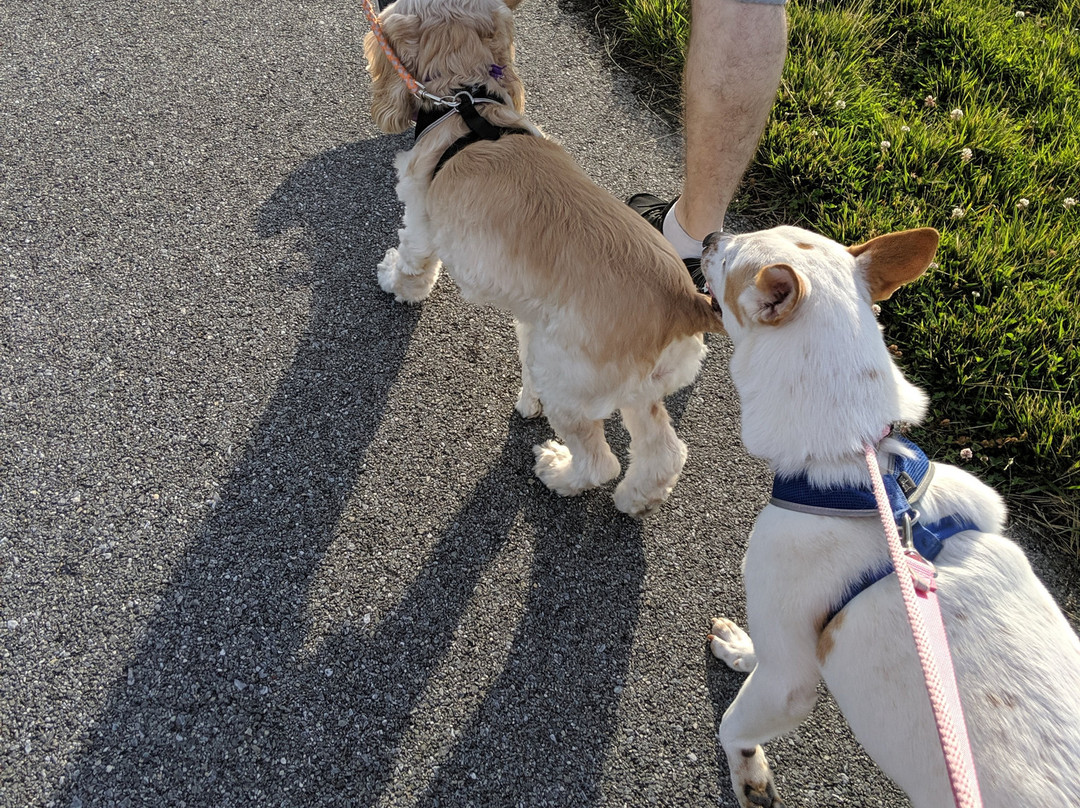 Charles E. Price Memorial Park-Middletown必去景点