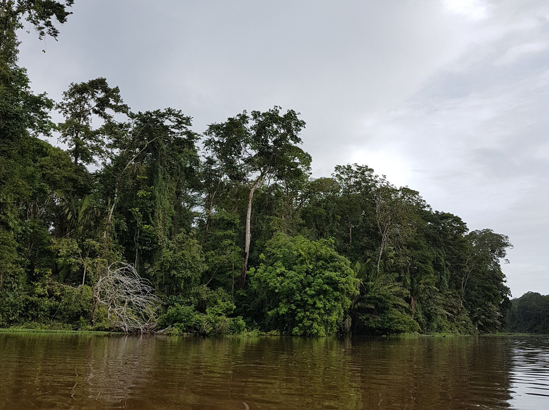 Tortuguero National Park景点图片