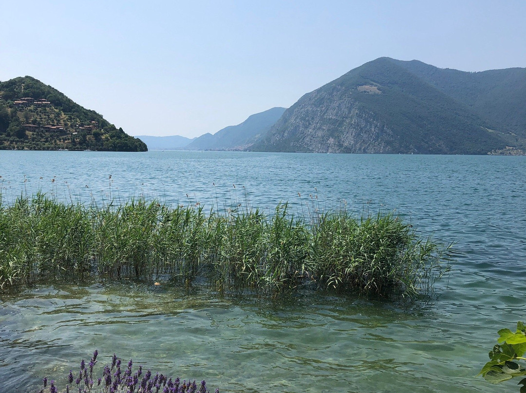 Paradise Coast主图