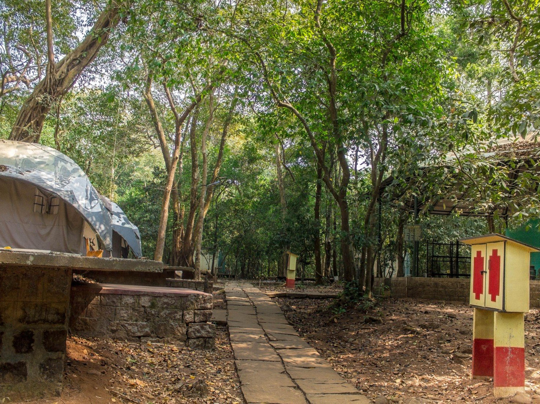 Seethanadi Nature Camp主图