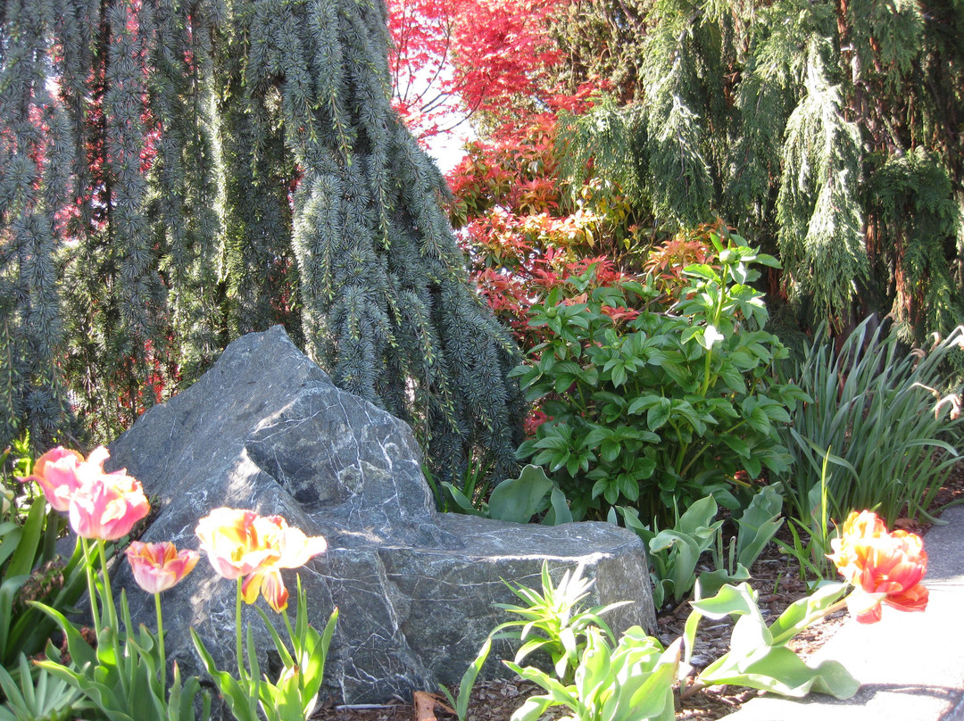 Acorn Motor Inn主图