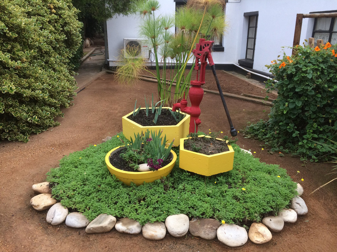 Heidelberg kwekery-Heidelberg必去景点