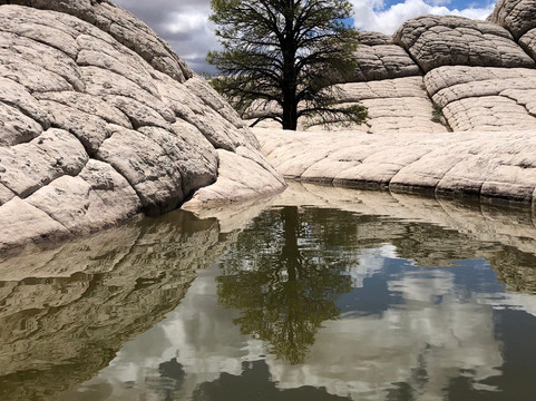 White Pocket-Grand Canyon-Parashant National Monument必去景点