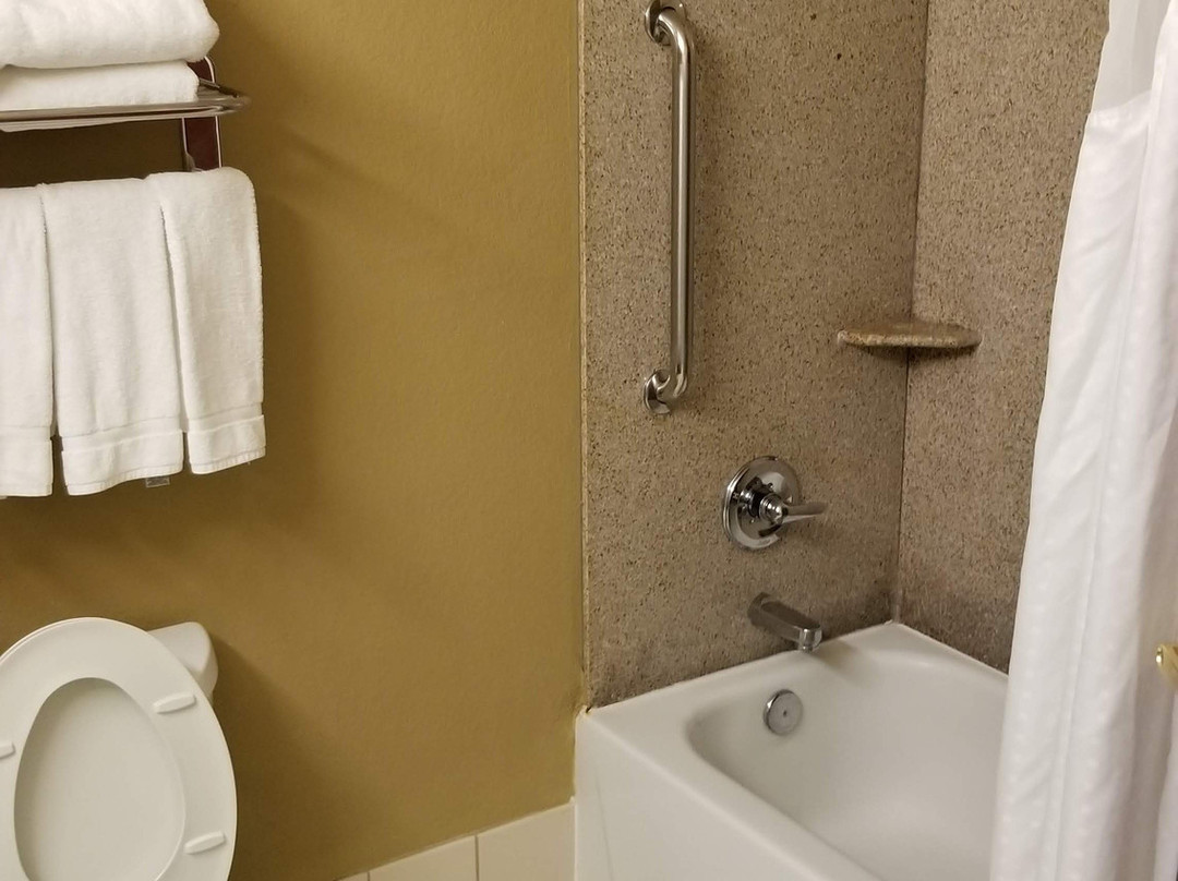 Holiday Inn Express & Suites Amarillo South by IHG主图