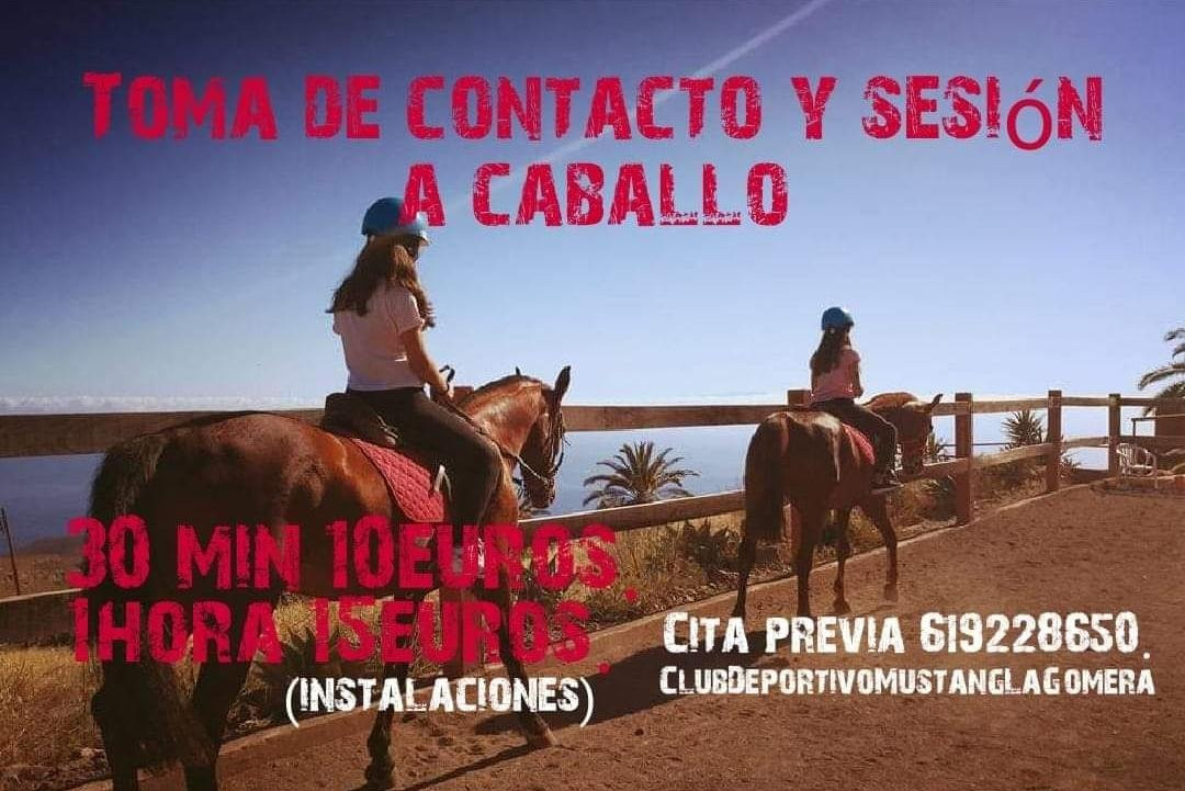 Club Deportivo Mustang'S La Gomera-阿拉赫罗必去景点