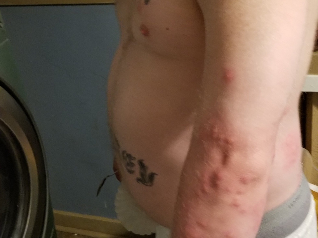 Baymont By Wyndham Bellevue/omaha主图