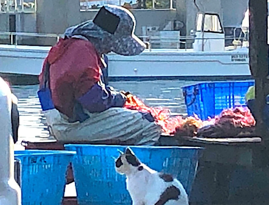 Nitoda Port-石卷市必去景点