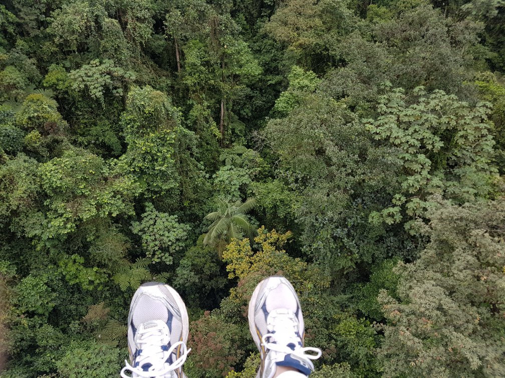 Minjoy Park-明多必去景点