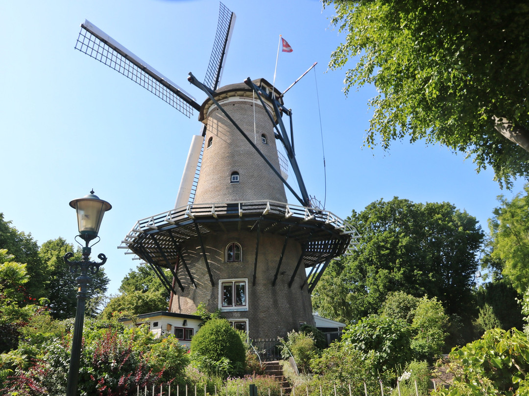 Molen van Groot (Piet)景点图片