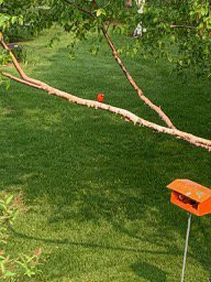 Point Au Roche Lodge主图