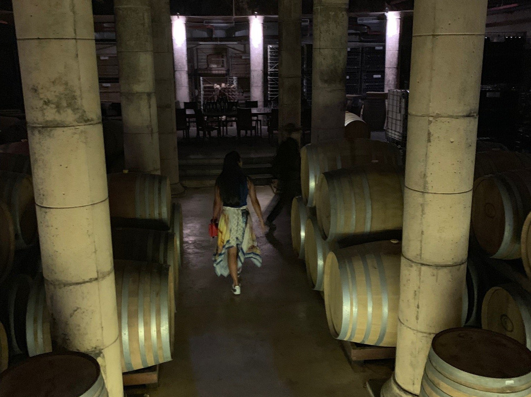 Chateau Golan Winery-戈兰高地必去景点