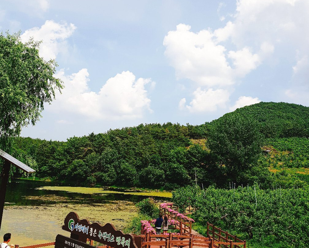 Bangokji Reservoir-庆山市必去景点