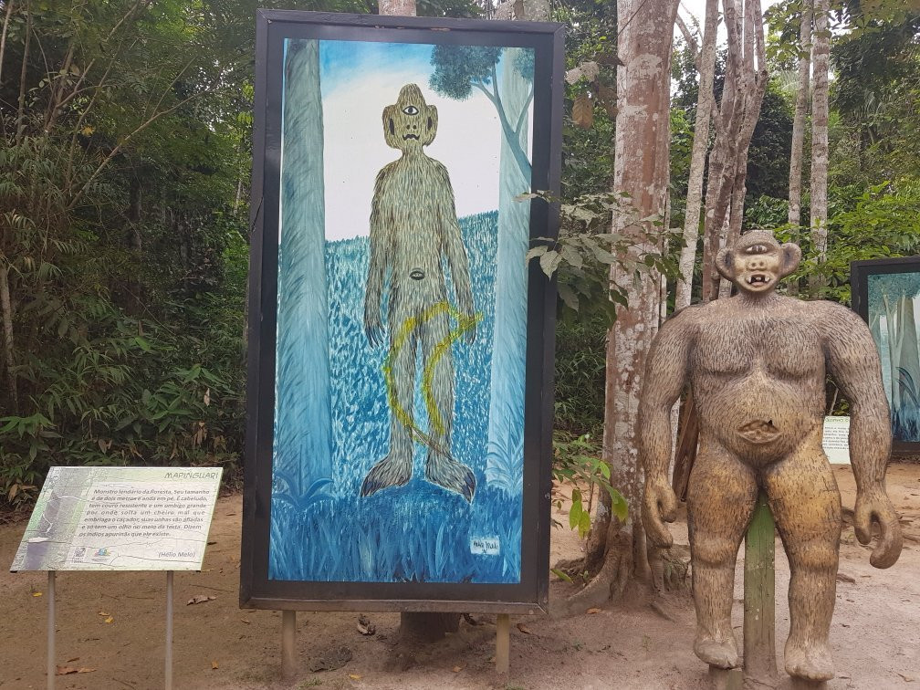 Parque Ambiental Chico Mendes-Rio Branco必去景点