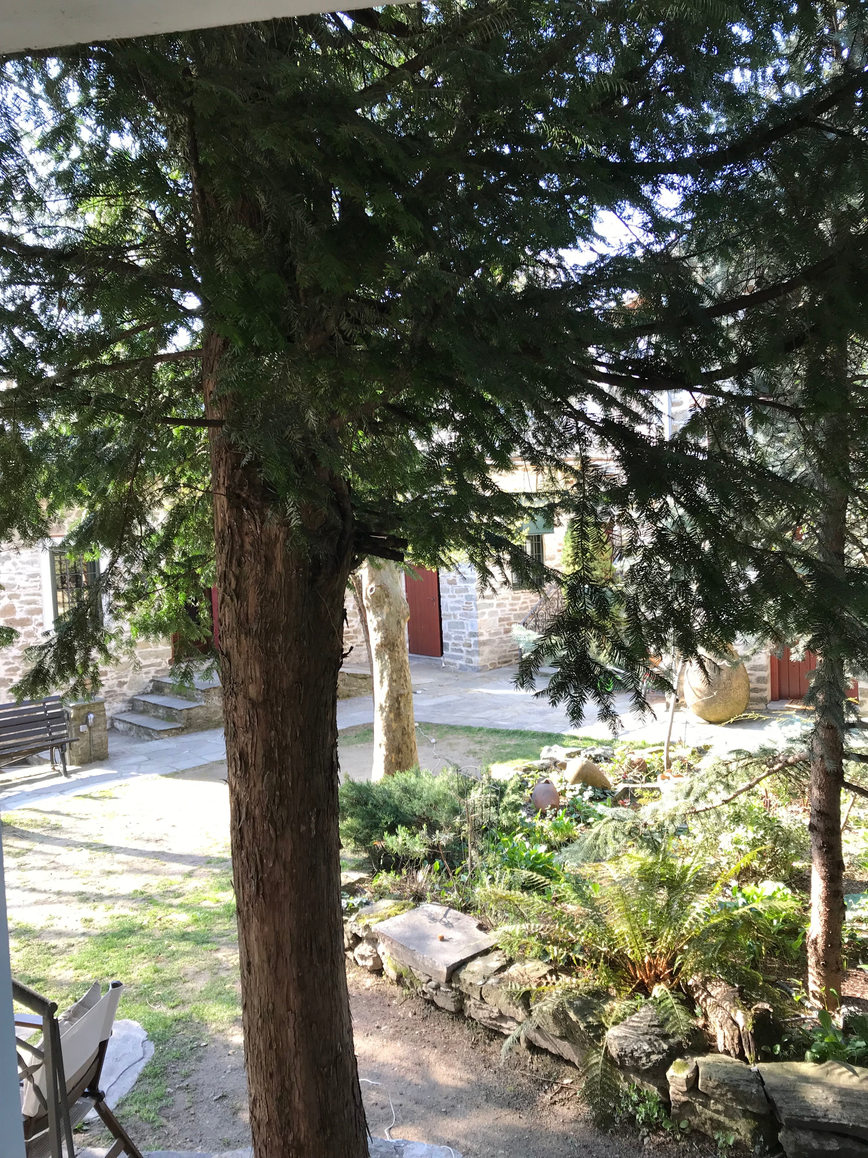 Archontiko Stamou-酒店景观