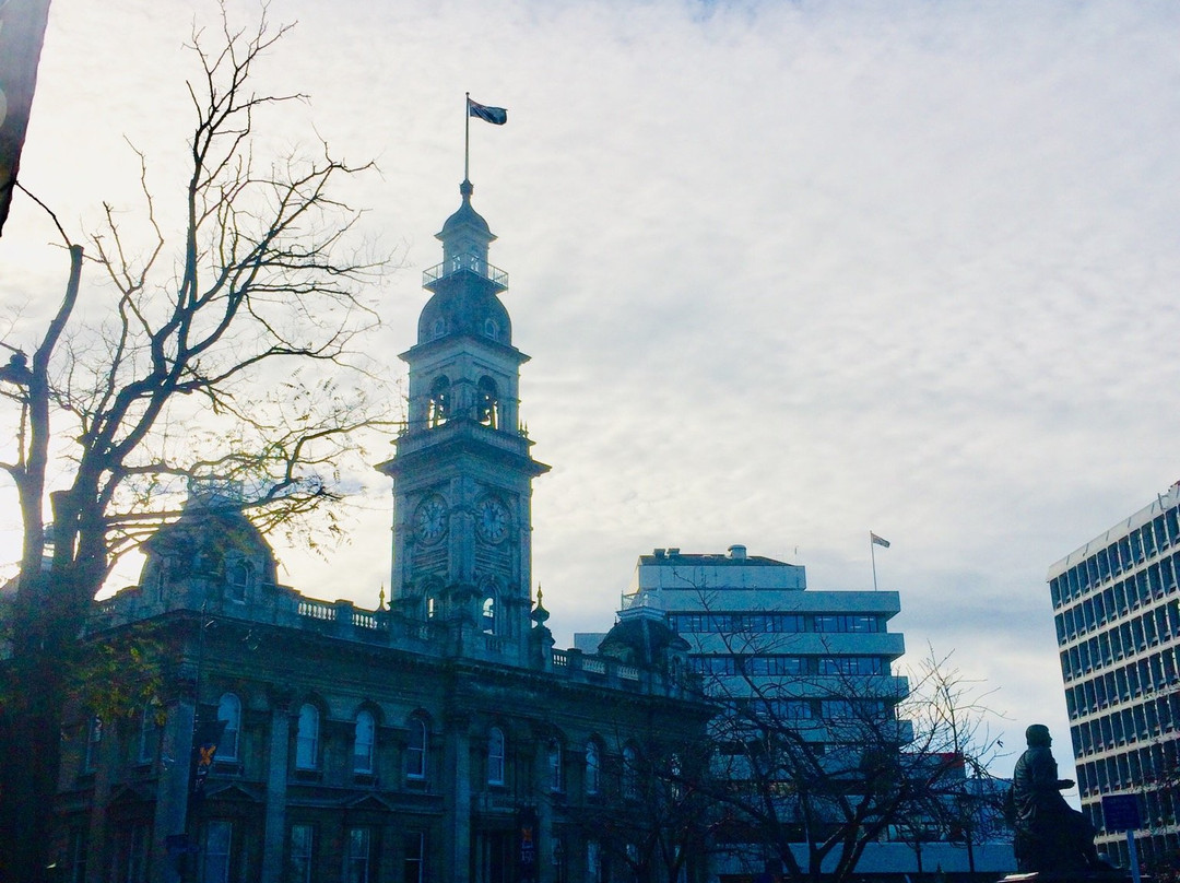 Dunedin Town Hall景点图片