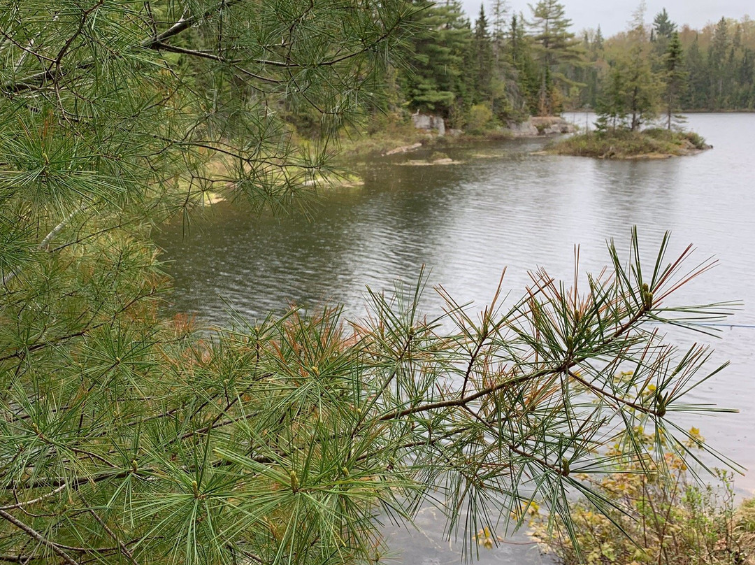 Peck Lake Trail景点图片