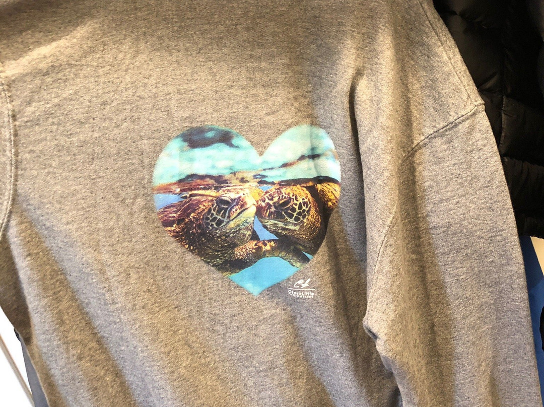 Clark Little Gallery-哈雷瓦必去景点