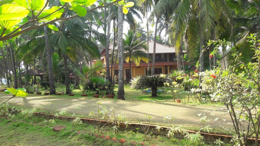 Paradise Lagoon主图