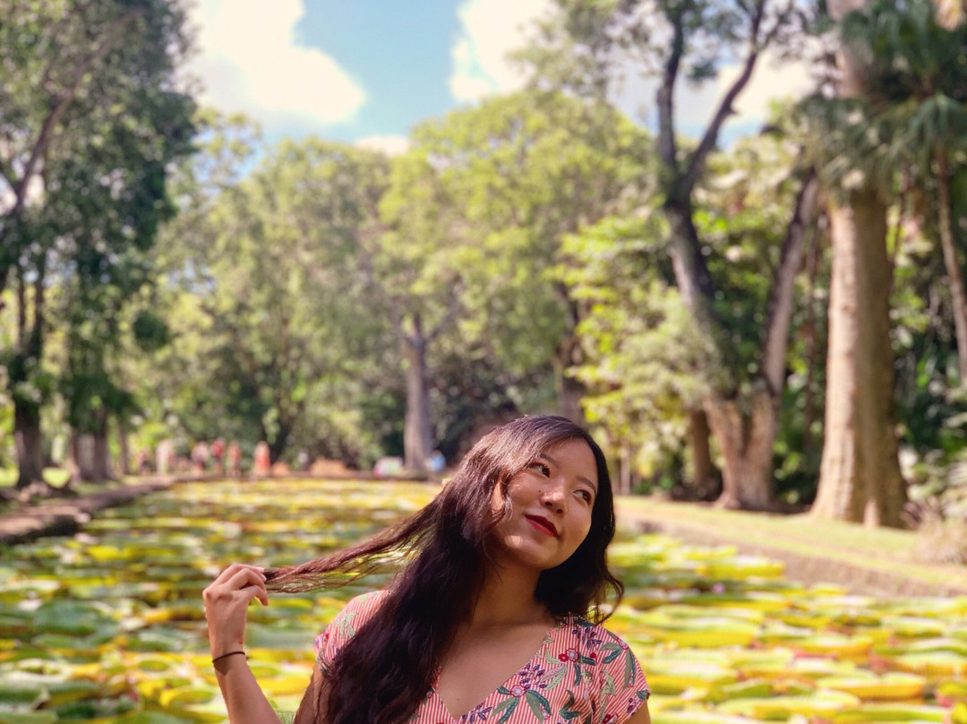 Mauritius Tours-Ebene必去景点